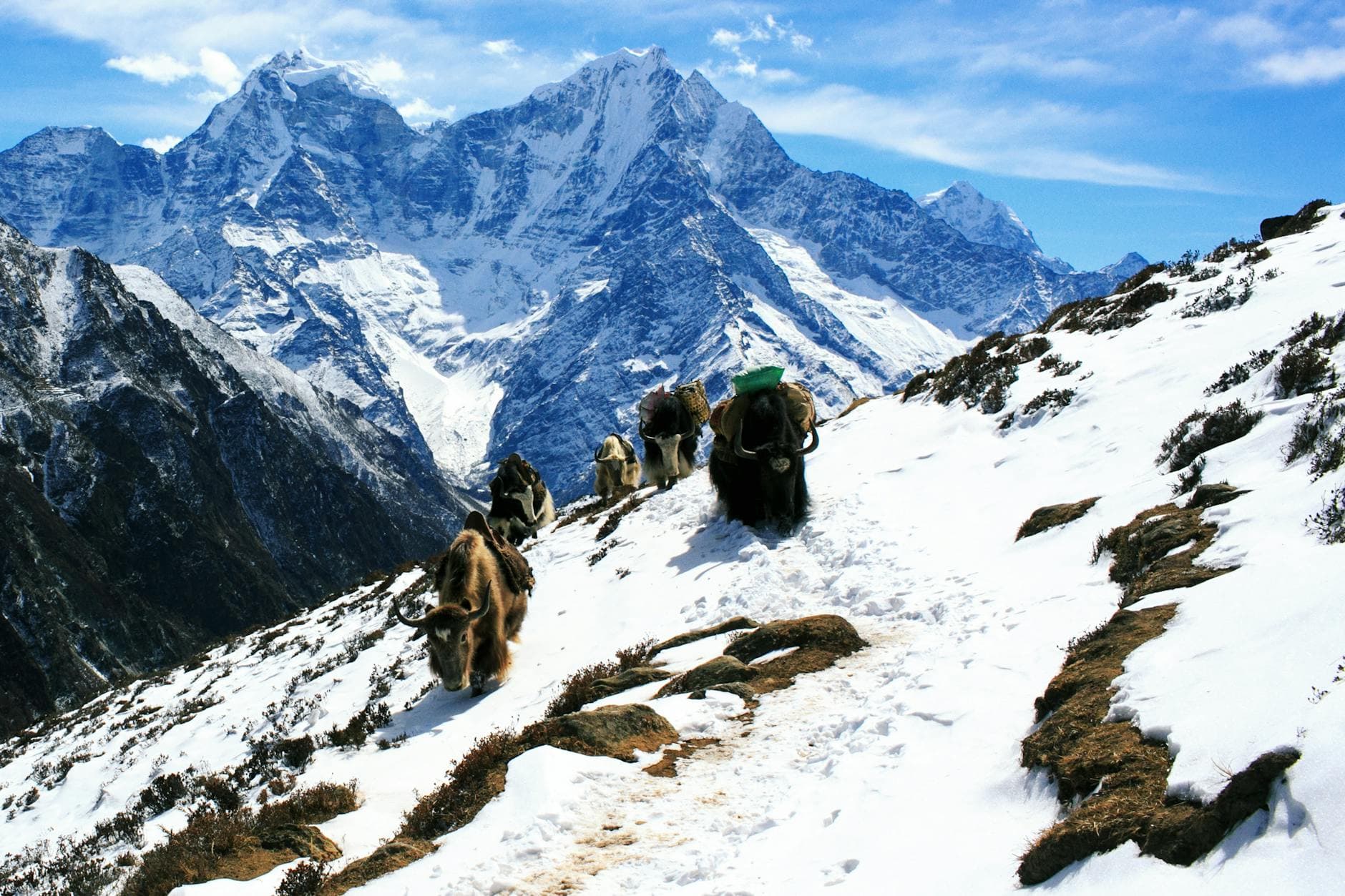 Mera-Peak-Expedition
