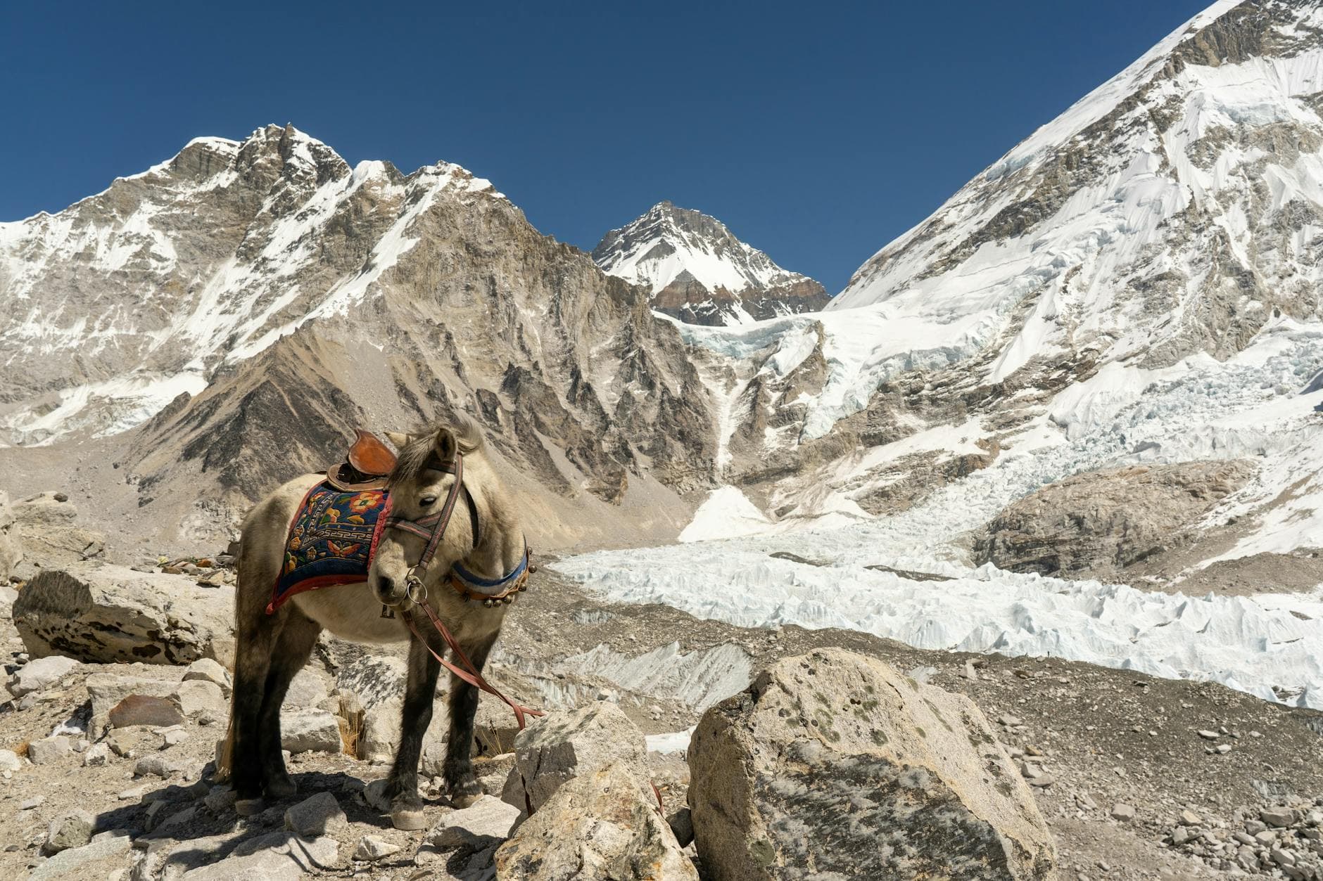 Lhotse Expedition