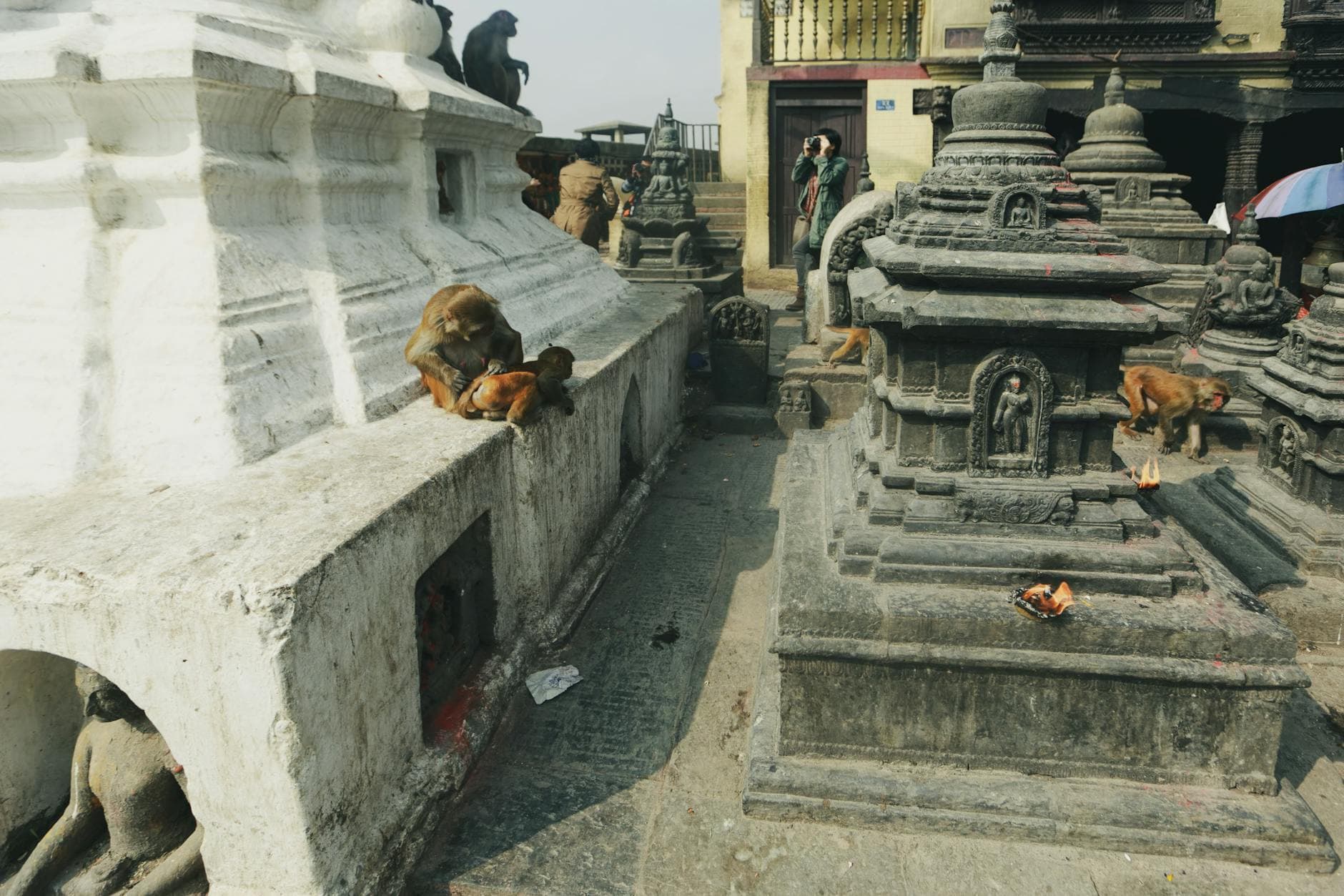 Swayambhunath (Affentempel), Kathmandu