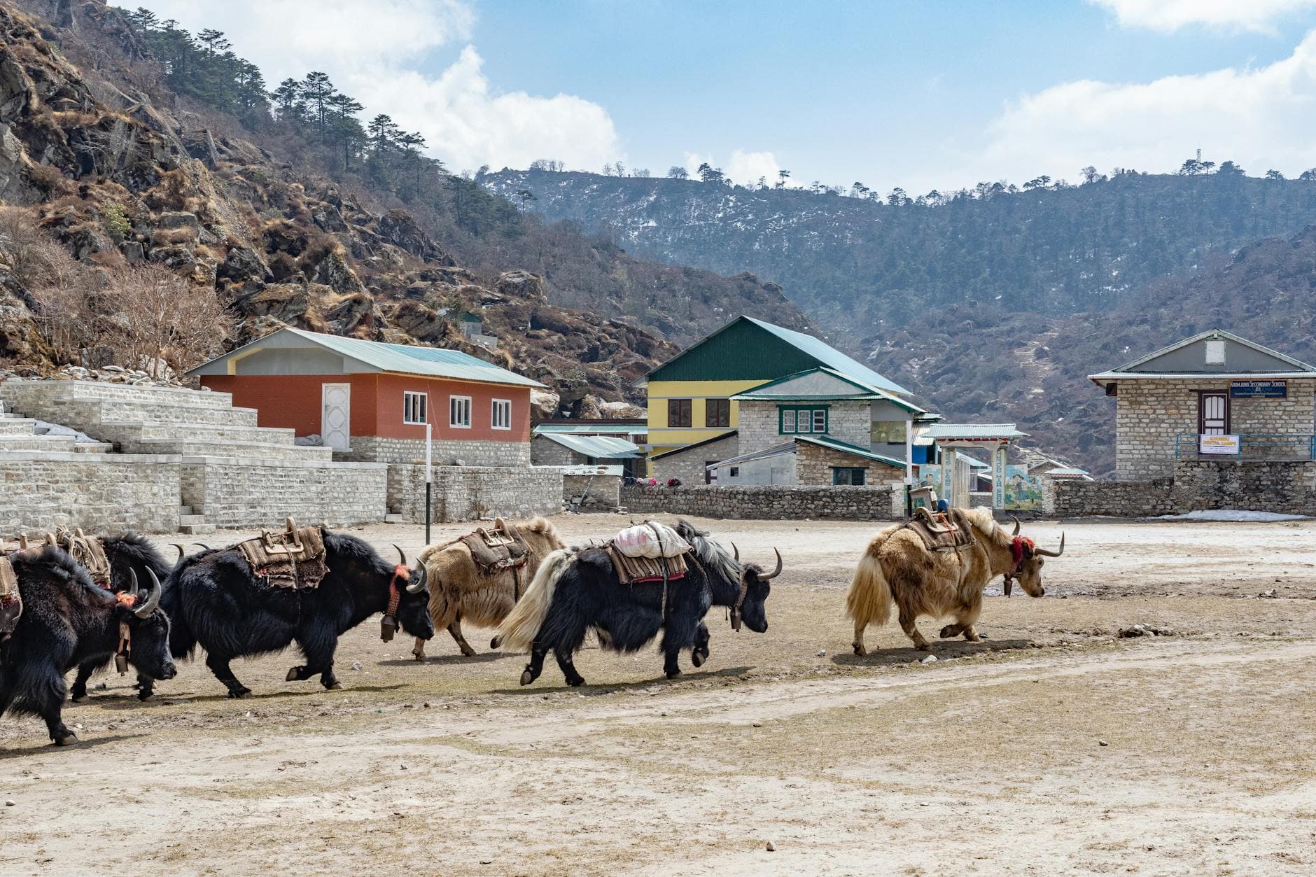Langtang Valley Trek