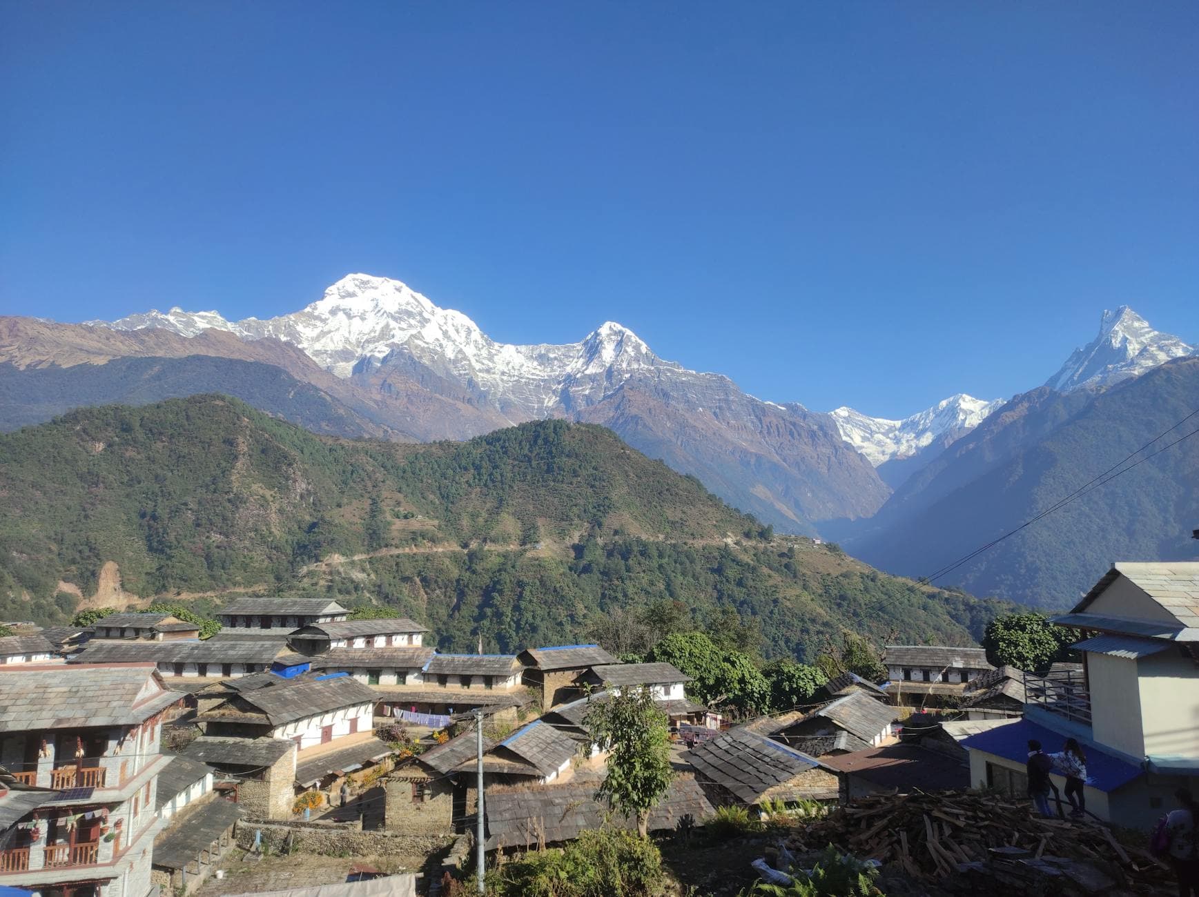 Ghorepani Poon Hill Trek